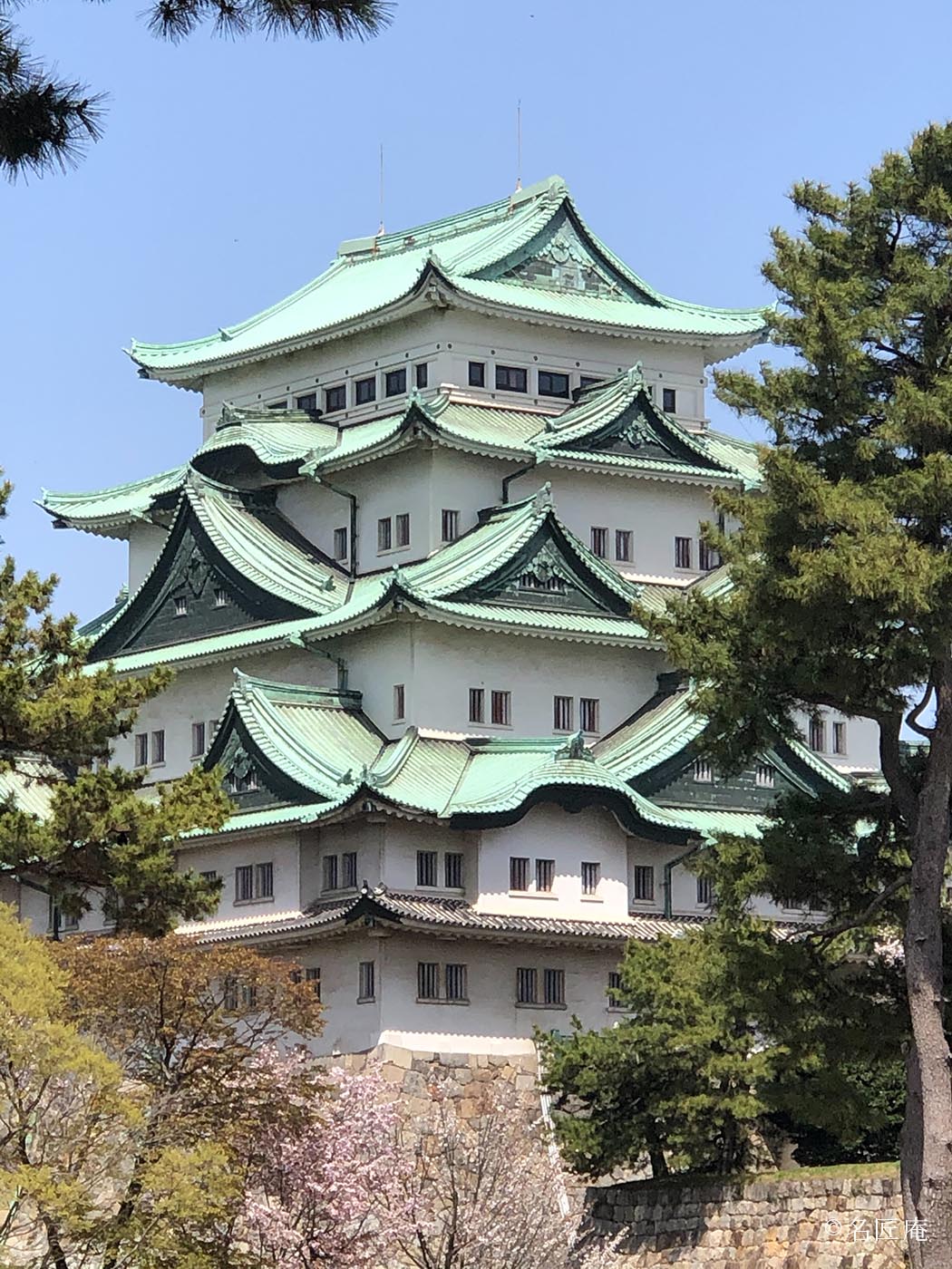 名古屋城　桜　金のシャチホコ
