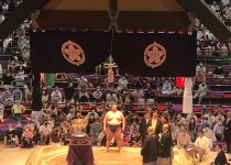 大相撲名古屋場所